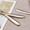 TD-2108 Vega Cutlery set