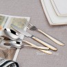 TD-2108 Vega Cutlery set
