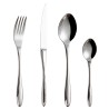 Iapetus cutlery set