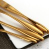 Iapetus cutlery set