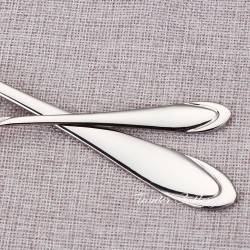 TD-2103 Altair cultery set