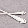 TD-2103 Altair cultery set