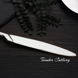 TD-1009 Metis Cutlery set