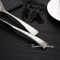 TD-1009 Metis Cutlery set