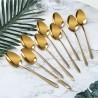 TD-1045B2 Adrastea cutlery set
