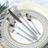 TD-1045B2 Adrastea cutlery set