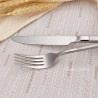 TD-40453 Knight cutlery set with sand plated handle